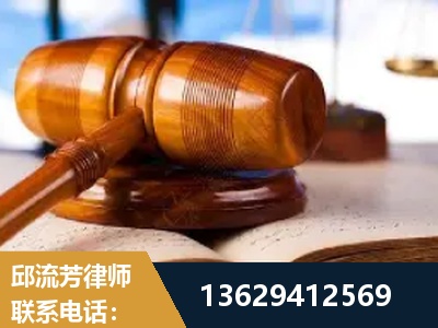 廉江-刑事案件
