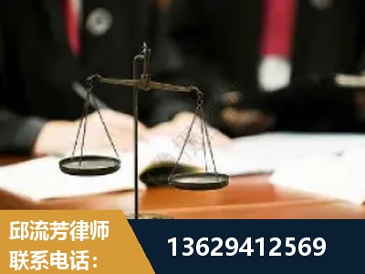 廉江-抚养权