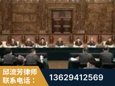 廉江-疑难刑事案件处理