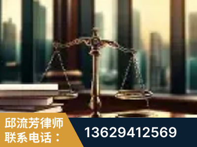 廉江-重大刑事案件处理