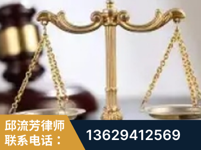廉江-委托诉讼代理人出庭